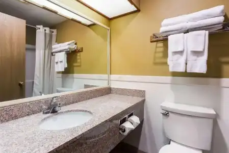 Quality Inn Airport - 25