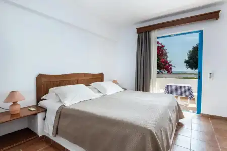 Olympia Mare - 24