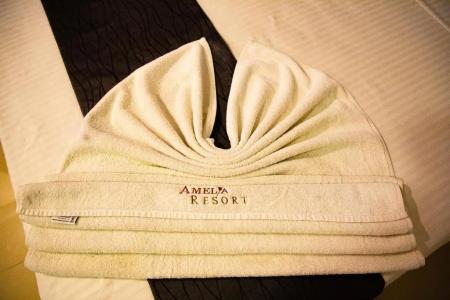 Amelia Resort - 21