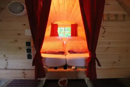 Azur Waldcamping Auwaldsee - 39