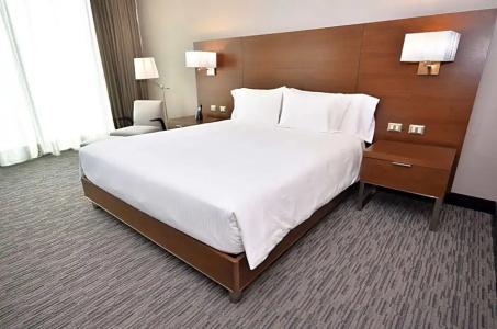 Hilton Garden Inn Iquique - 77