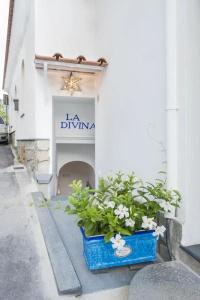 La Divina Amalfi Coast - 0