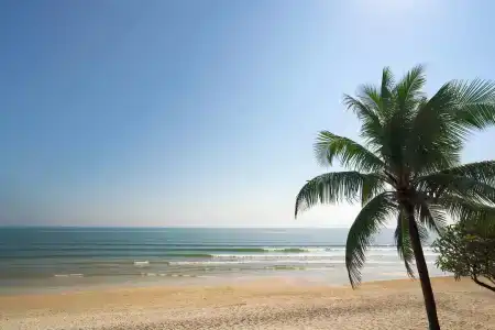 Huahin Star - 20