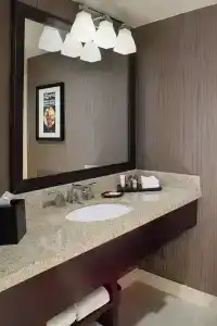 Sheraton North Houston at George Bush Intercontinental - 55