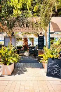 Les Palmiers - 35