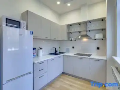 Opera Apartments Almaty - 501