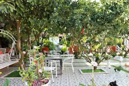 Red House Homestay - 22