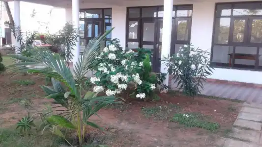 Masha Beach Inn - 4