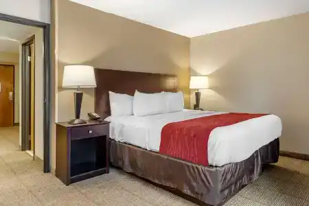 Comfort Inn Lansing West - 45