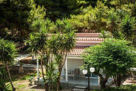 Mimoza Beach - 41