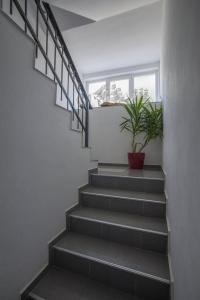 Apartments Vuksic - 10