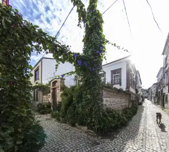 CavlıHane 1885 - 11