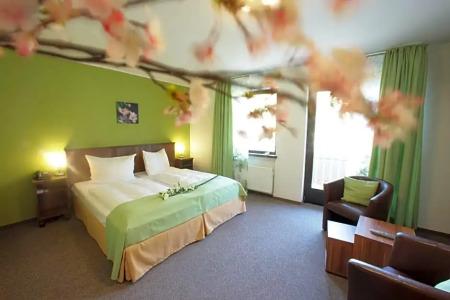 Mosel& Restaurant Zur Traube Gmbh - 12