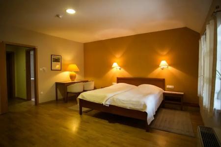 Pri Žabarju Bed & Breakfast Ljubljana - 41