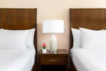 Hilton Garden Inn Key West / The Keys Collection - 108