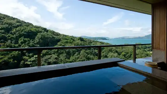 Hanashinsui Ryokan - 10