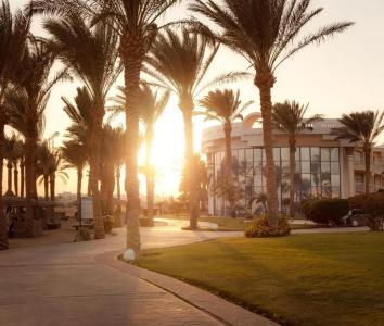 Palm Royale Resort - Soma Bay - 41