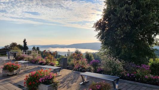 Pension Breitenborn - 10