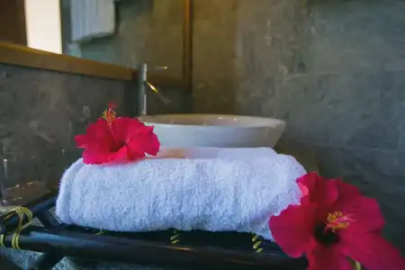 Tropical Garden Homestay Villa - 17