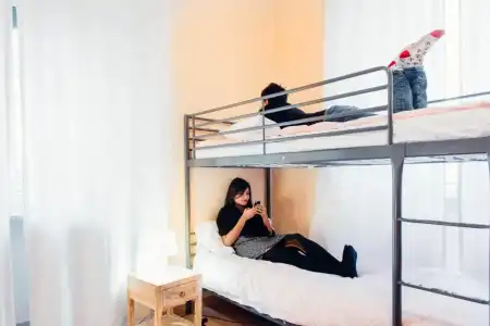 The Beehive Hostel - 46