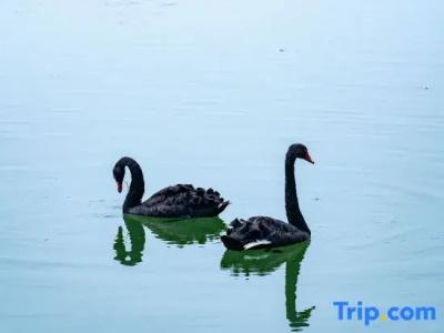 Nanning Wuxiang Resort - 42