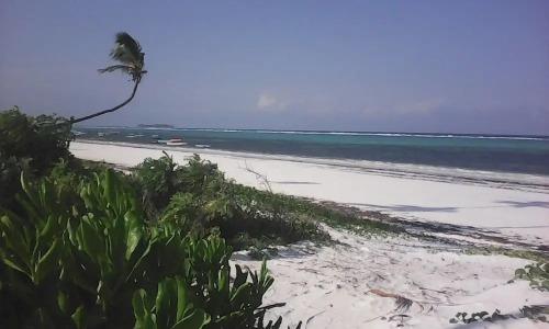 Matemwe B&B - 6