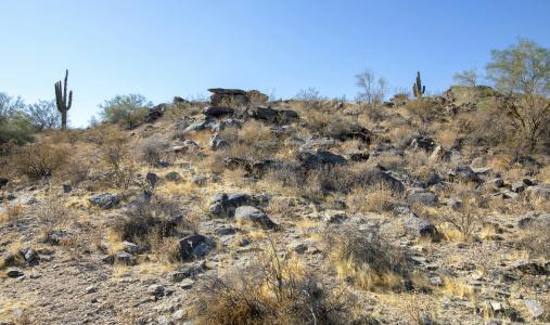 WorldMark Phoenix - South Mountain Preserve - 29