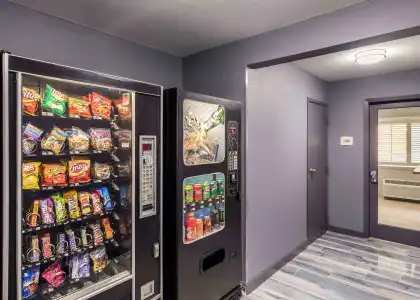 Quality Inn & Suites Plano East - Richardson - 13