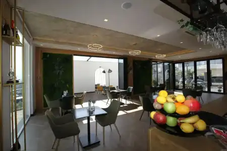 Bonsai - 18