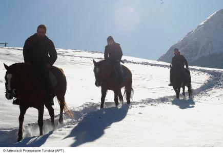 Galli's - Centro - 7