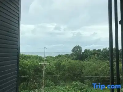 Sea Land View - 54