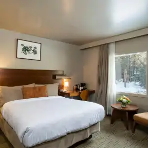 The Juniper - 47
