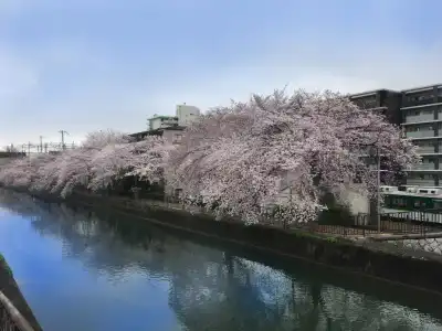 Kyoto Happy Family - 4