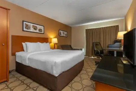Comfort Inn Laval - 49