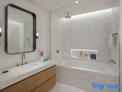  Hilton Dubai Creek & Residences - 71