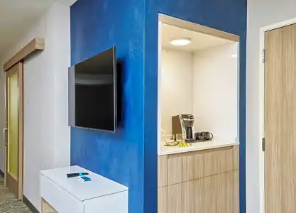 SpringHill Suites by Marriott Chicago Chinatown - 49