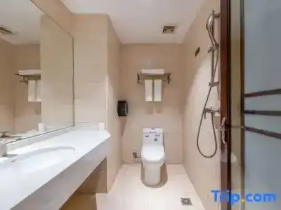 Guangzhou Lujiang Tian Yue - 48