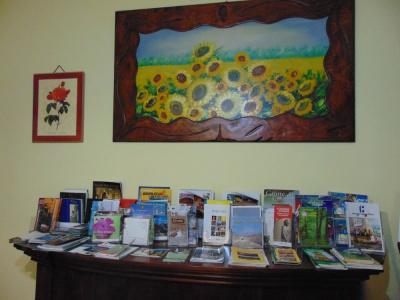 B&B Falcone - 13