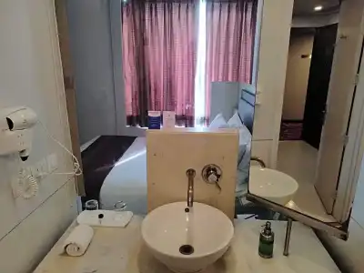 Sarovar Portico Naraina Delhi - 54