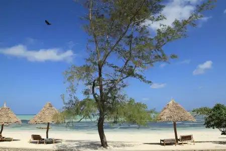 Ujamaa Beach Resort Zanzibar - 29