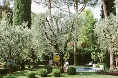 Piccola Vela - 49
