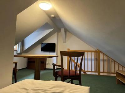 LH Mlýn Old Town - 80