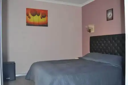 Hôtel Le Dauphin Bleu - 70