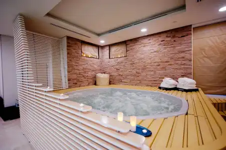 Opera - the Leadings of the World - 13