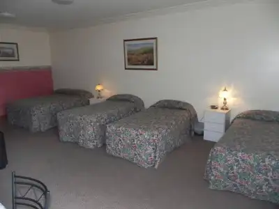St Georges Motor Inn - 8