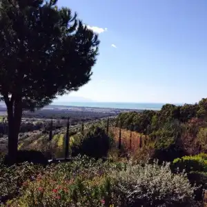 Poggio Ai Santi - 13