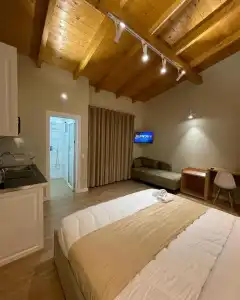 Arial Penthouse Suites - 131