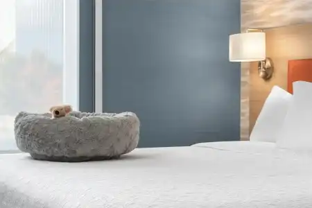 Home2 Suites By Hilton Kitchener - 19