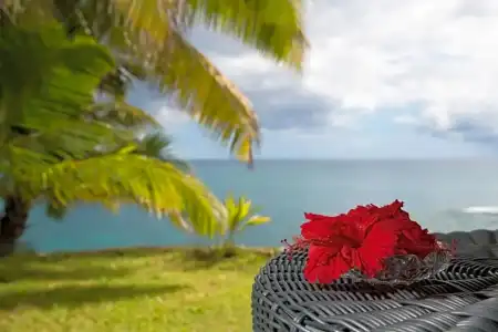 Sunset Beach - 59