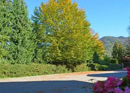 Garni Sonnenhof - 13